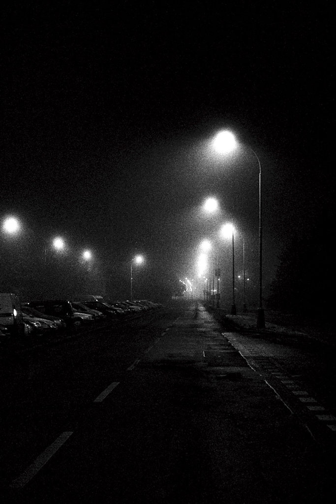 polar9065-banlieue-lampadaires-brouillard-nocturne-W-Photo03-4-2-rd900.jpg