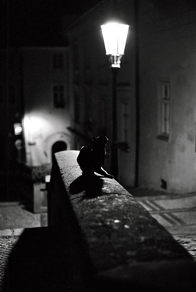 Prg-chat-lampadaire-Photo29-29-2-rd900.jpg